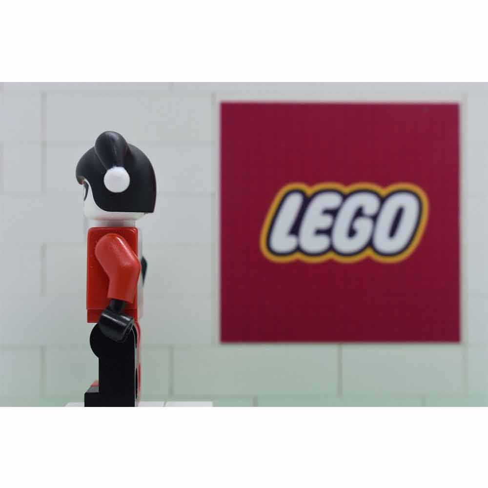 Harley Quinn  - LEGO DC Superheroes Minifigures - sh024 - 6857