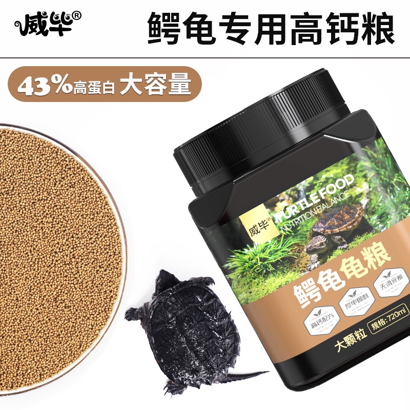 Thức Ăn Đặc Biệt Cho Rùa Cạn