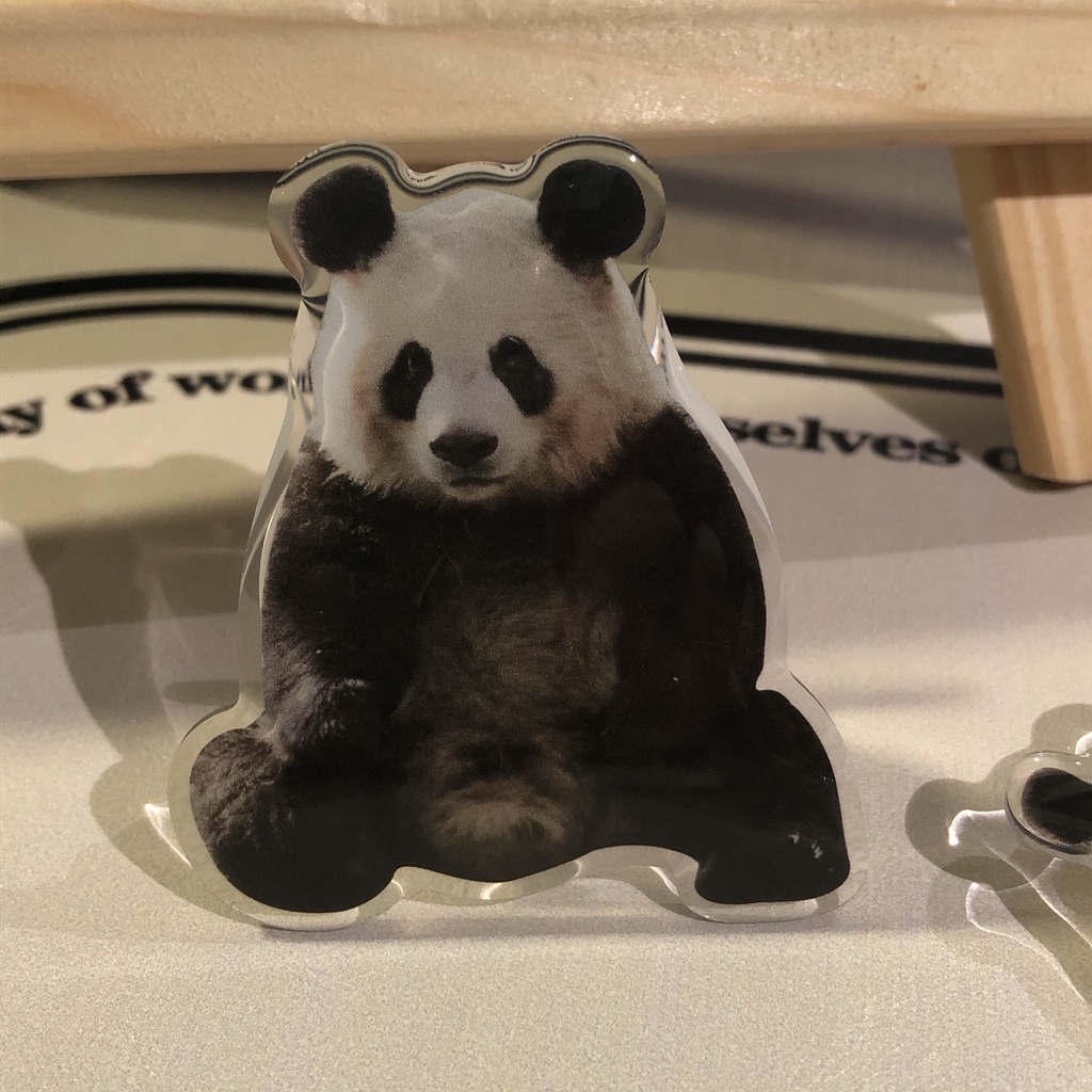 Nhẫn Đỡ Điện Thoại Hình Gấu Trúc Đứng