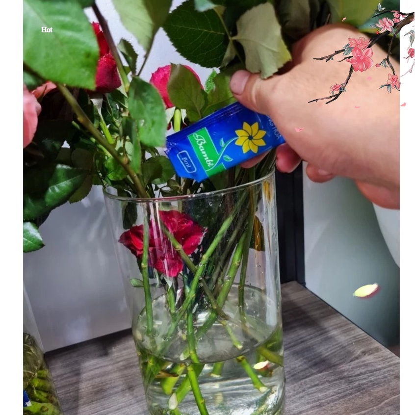 Gói nước dưỡng hoa lâu tàn BamBi Đậm Đặc - Nước Cắm Hoa Tươi Lâu Siêu Dưỡng 10 ngày Hoa Tươi Không hôi nước