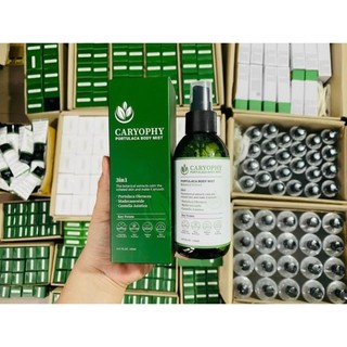 Xịt Giảm Mụn Lưng Caryophy Portulaca Body Mist giảm mụn, mờ thâm, sáng da toàn thân 150m