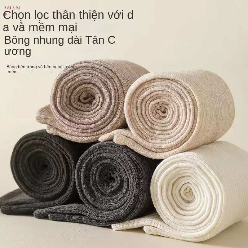Vớ cotton Cao Qua Gối Dày Dặn Màu Sắc Đơn Giản Dành Cho Mẹ Bầu