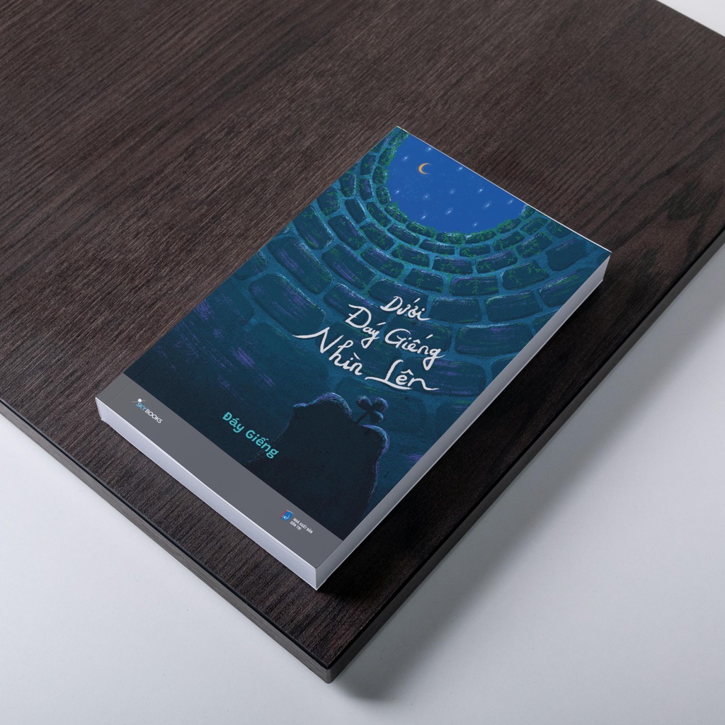 Sách - Dưới Đáy Giếng Nhìn Lên -  Tác giả Đáy Giếng - AZ Việt Nam