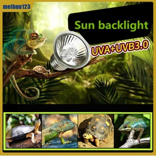 Mei bóng đèn sưởi ấm cho thú cưng bò sát 220v e27