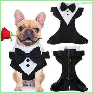 Bộ Đồ Hóa Trang halloween Độc Đáo Cho Thú Cưng