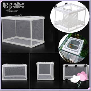 Top lồng ấp trứng linh hoạt cho bể cá