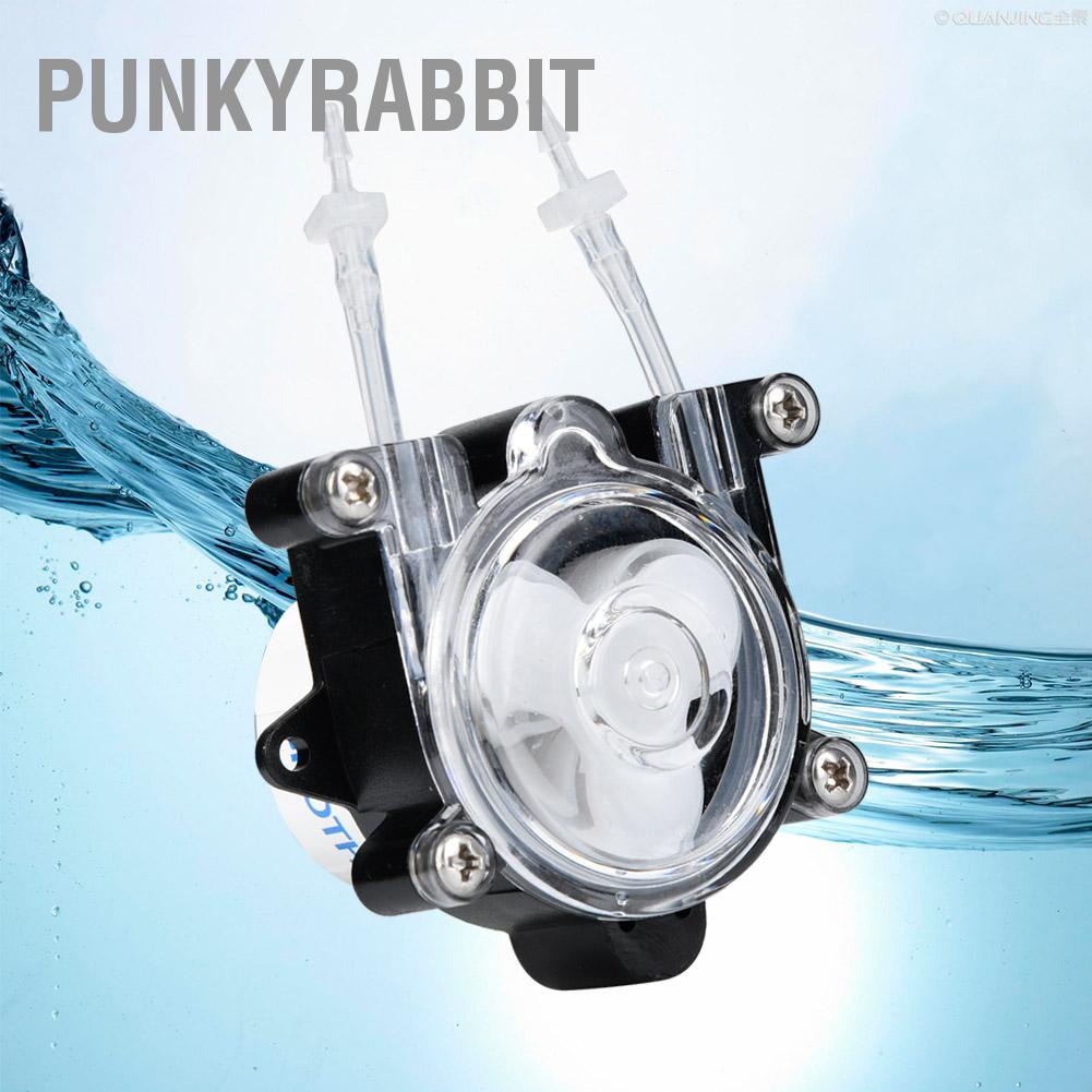 PunkyRabbit Bơm nhu động mini chất lượng cao cho phòng thí nghiệm kỹ thuật sinh học G528 DC12V