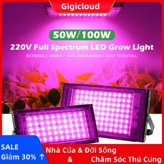 Đèn led trồng cây trong nhà 220v 50w 100w