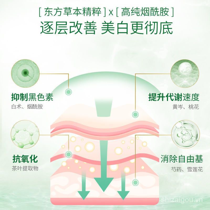 Kem pechoin Dưỡng Ẩm Làm Sáng Tông Màu Da 50g