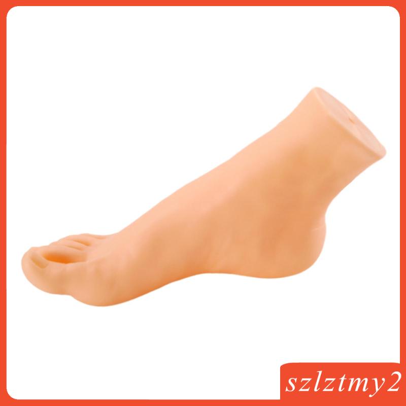 Mô Hình Bàn Chân Ma Nơ Canh Trọng Lượng Nhẹ Trưng Bày Vớ