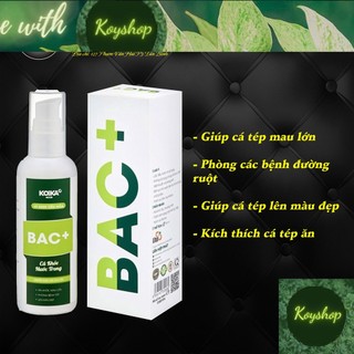 Men vi sinh koika bac+ | men tiêu hóa cho cá