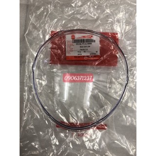 Chụp pha đèn xe Elizabeth Fi Zin