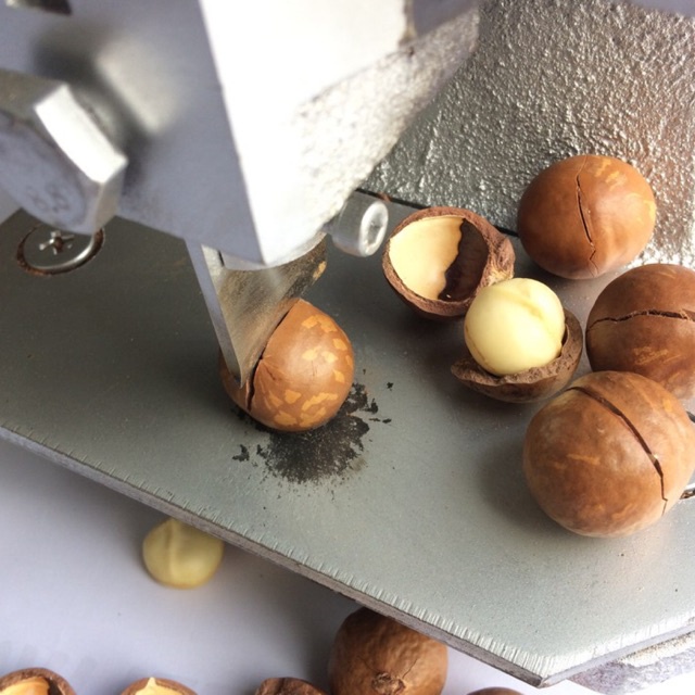 500g Hạt MACCA  SẤY LẠNH Size Lớn 23-27mm Có VSATTP