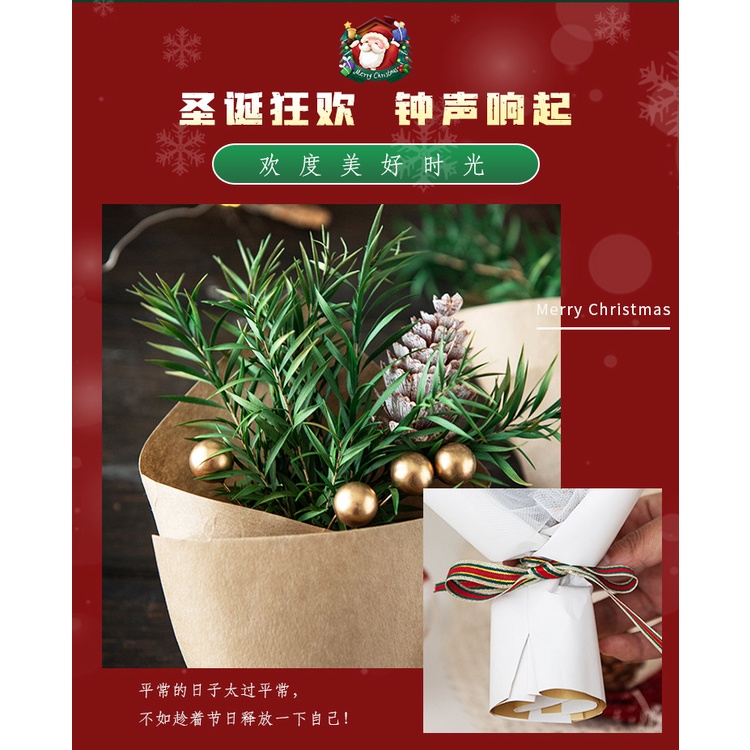 Bó Hoa Khô Hình Nón Bằng cotton Dùng Làm Quà Tặng Giáng Sinh diy