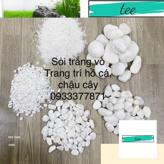  Sỏi Trắng 1Kg nhiều size | Sỏi trang trí hồ cá chậu cây bonsai sen đá sân vườn 