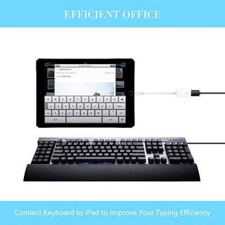 Đầu Đọc Thẻ Nhớ lightning Sang usb otg Cho iphone ipad