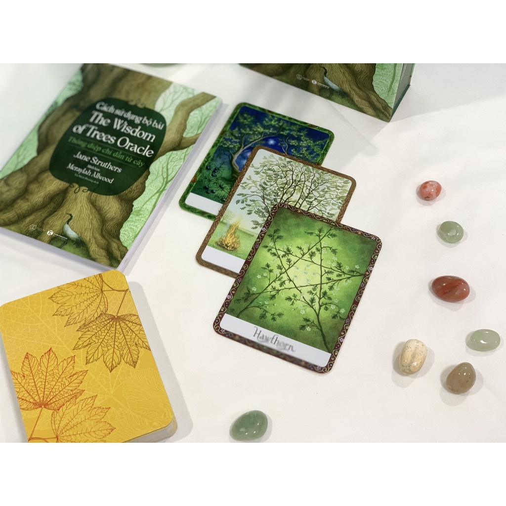 Sách - Cách sử dụng Bộ bài Wisdom of Trees Oracle - Thái Hà