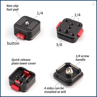 Quick Release Plate Adapter for DSLR Mirrorless Camera Tripod - Express Pallet Mount