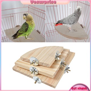 Bệ đứng bằng gỗ hình quạt cho hamster / vẹt / sóc