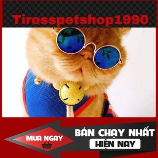 [❌GIÁ SỈ❌] Mắt kính thời trang cho thú cưng ( Giao màu ngẫu nhiên các bạn nhé ) ❤️