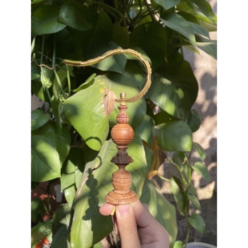 Nậm lồng chim mào choè