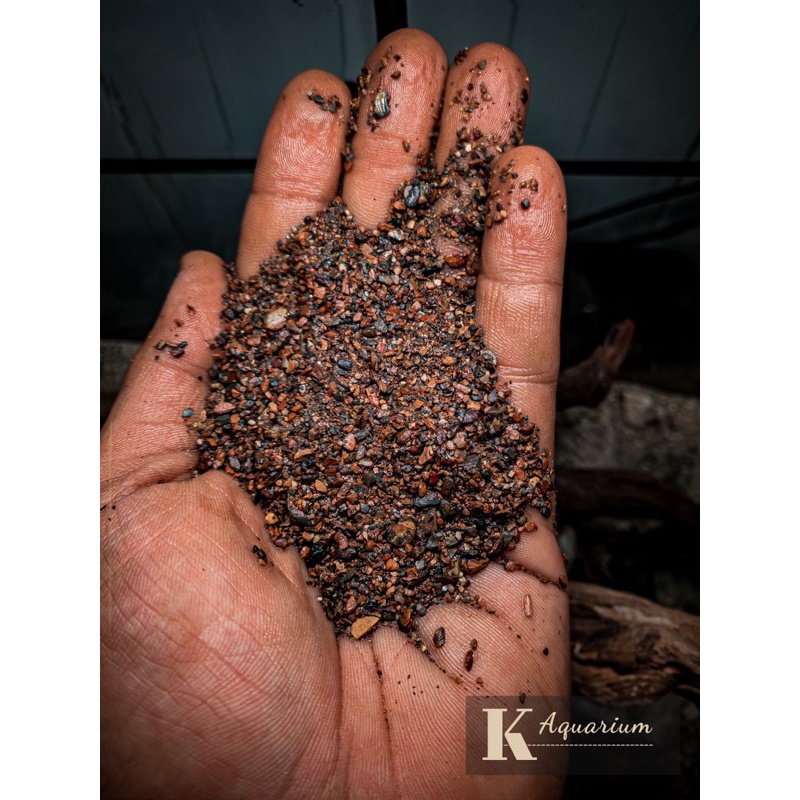 Sạn Suối, Cát Suối , Đá Cuội Suối Siêu Vân  | Thủy Sinh | Biotope | Trải Nền | Trang Trí Bể Cá | Giá Siêu Rẻ.