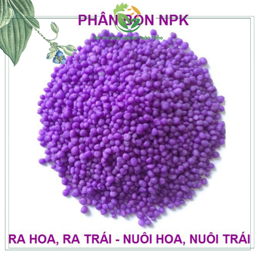 1 kg phân bón NPK 15-5-20 tím, Kích Ra Hoa, Tăng Đậu Trái Trên Kiểng, Cây Ăn Trái, Củ, Quả. VTNN Toàn Thảo