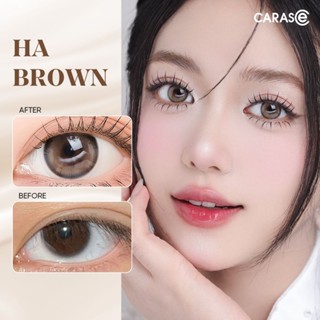 Kính áp tròng khoá ẩm 1 Ngày Màu Nâu Sữa CARASE, Lens cận HA BROWN (1 bên mắt)