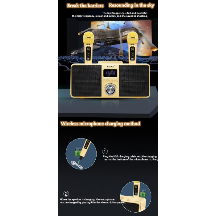 Loa Karaoke SDRD SD309 Loa Bluetooth Mini Karaoke SDRD SD-309, Bản Cao Cấp Chất Lượng, Kèm 2 Micro Sạc Không Dây