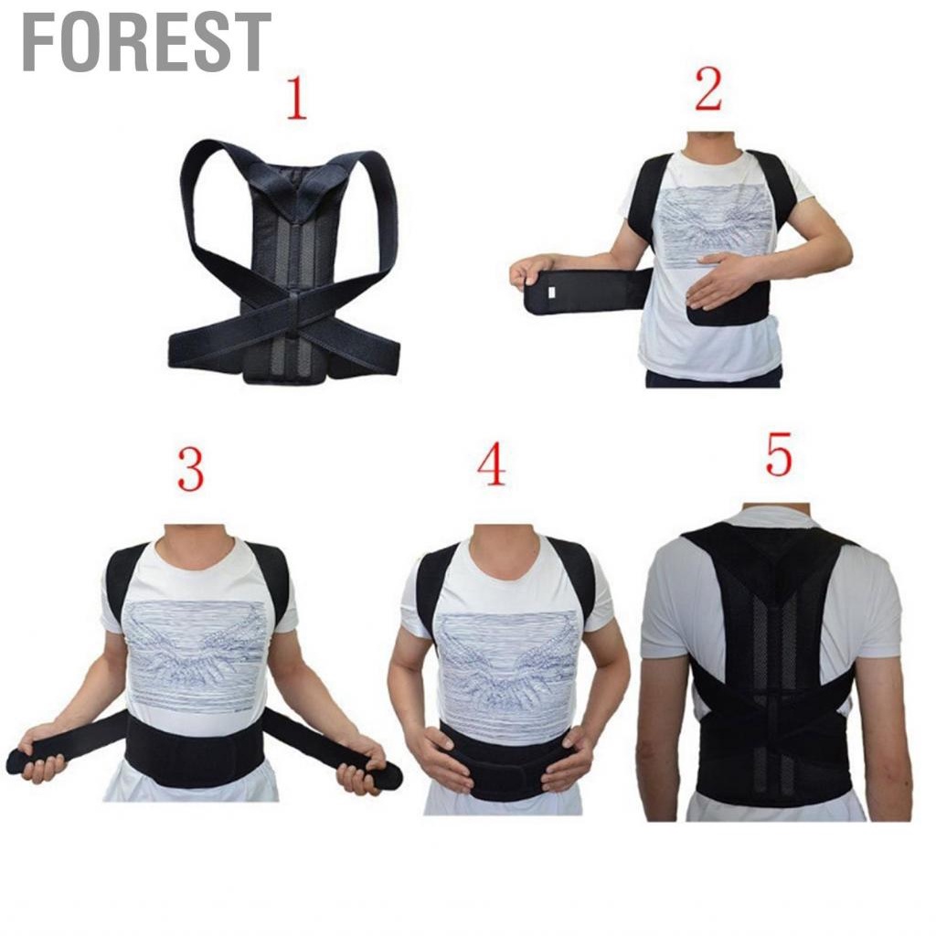 Forest Posture Corrector Back Brace High Elasticity Breathable Adjustable Support Universal Orthopedic Strap