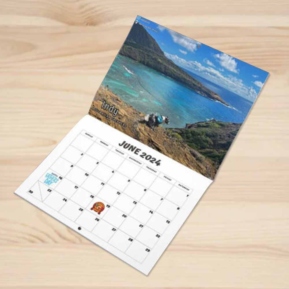 2024 Calendar-Funny Dogs Pooping in Beautiful Places Wall Calendar