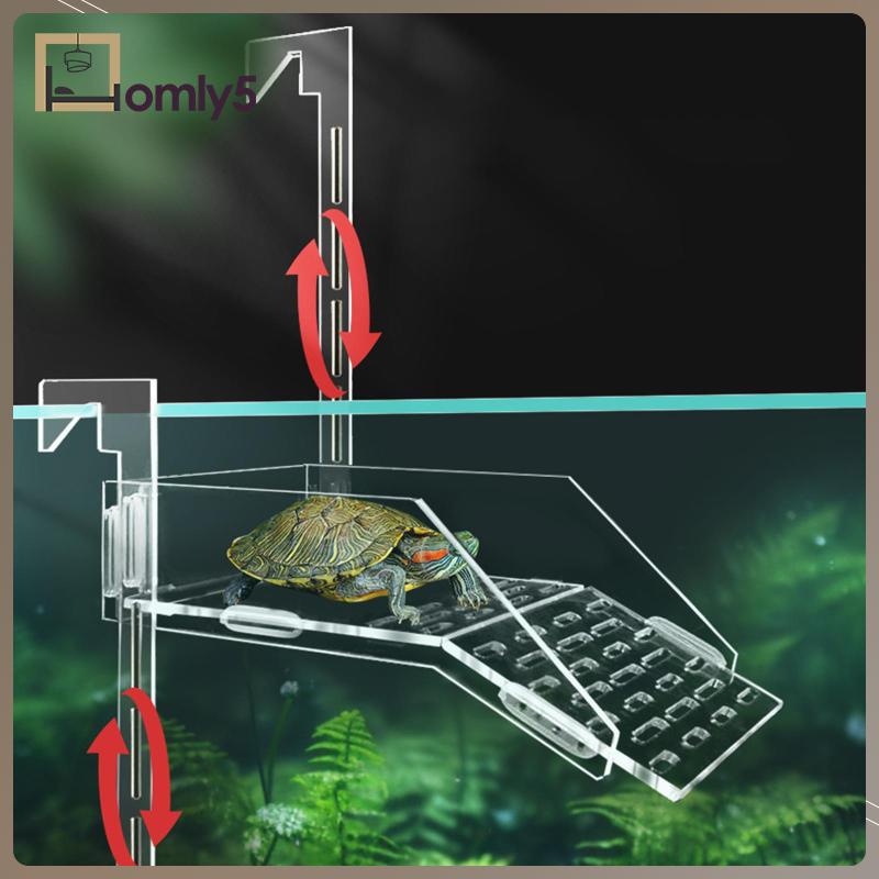 Bệ Đứng Thư Giãn Treo Bể Nuôi Rùa / Rùa / Ếch / Rùa