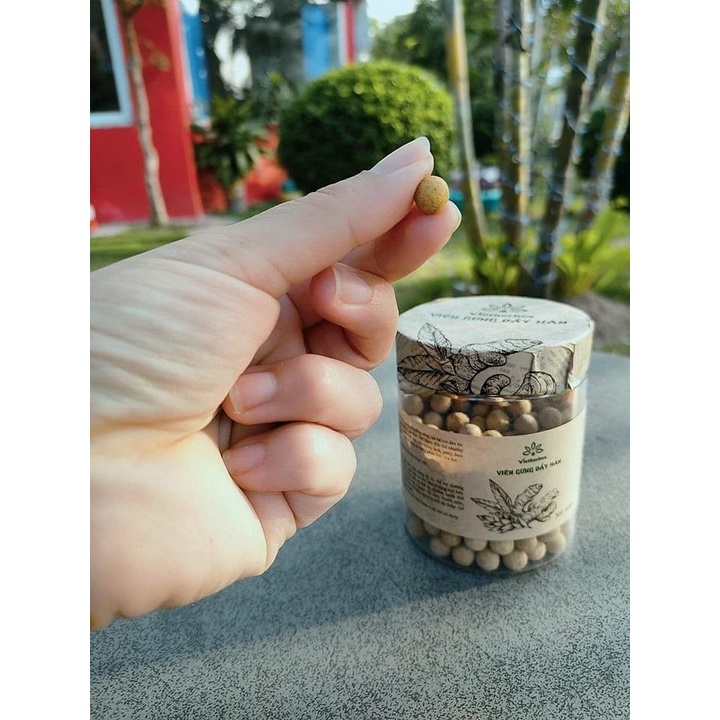 Viên Gừng Đẩy Hàn - Vietherbes