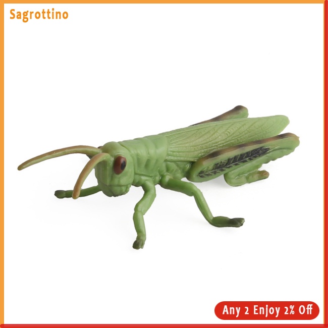 Sag Mô Hình Côn Trùng Bướm Sống Động Như Thật Cho Bé