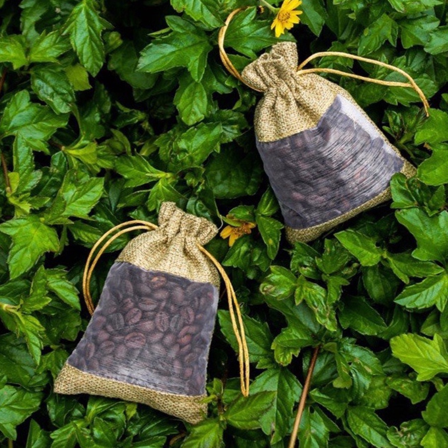 Túi cafe hút mùi treo xe, túi cà phê khử mùi ô tô, phòng, tủ quần áo, cafe treo xe | BigBuy360 - bigbuy360.vn