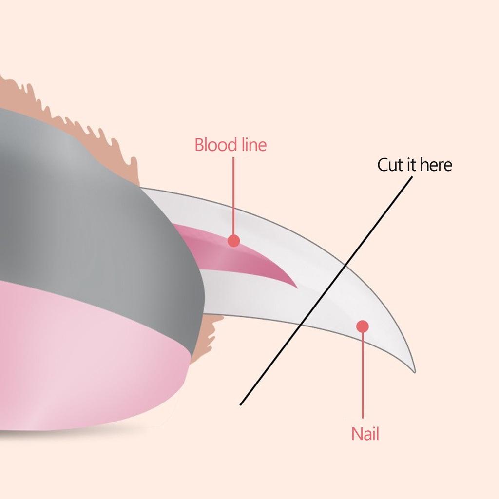 Kềm Cắt Móng Tay Có Đèn led Cho Thú Cưng