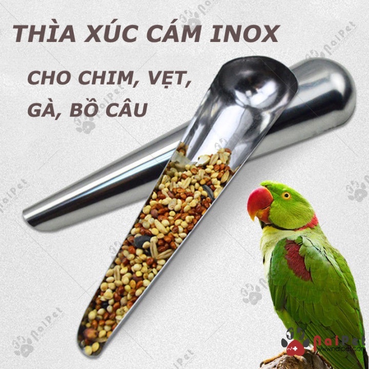 Thìa xúc cám chim, gà, bồ câu tiện lợi chất liệu inox - LỒNG CHIM CHÍNH NGHĨA