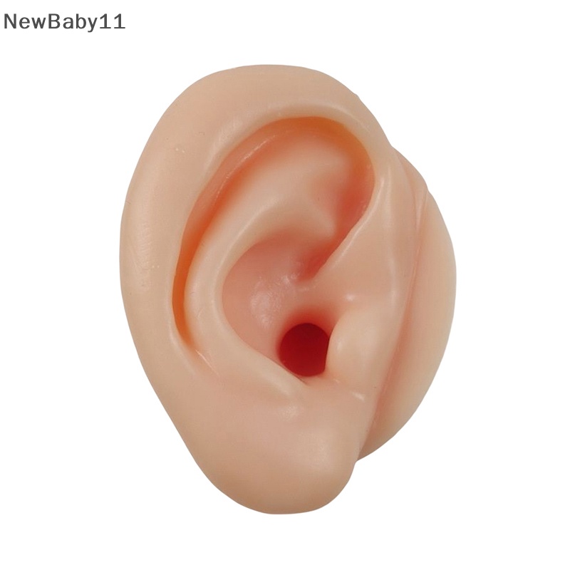 Bộ 1 / 2 Mô Hình silicone Dùng Luyện Tập Lấy Ráy Tai