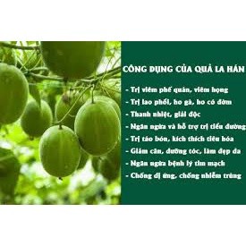 Cây giống la hán quả