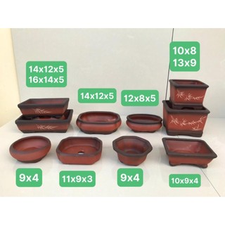 Combo 10 chậu bonsai cây cảnh sen đá mini màu đỏ SP646