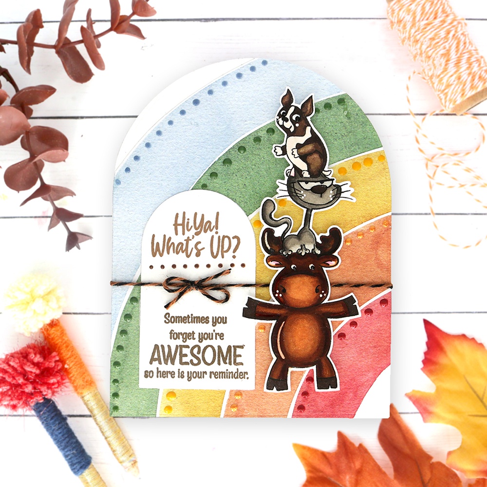 Khuôn Cắt Giấy Kim Loại + Con Dấu Silicon Dập Nổi Hình Bí Ngô / Cây Thông / Hoa Tuyết / Bí Ngô halloween diy Thẻ