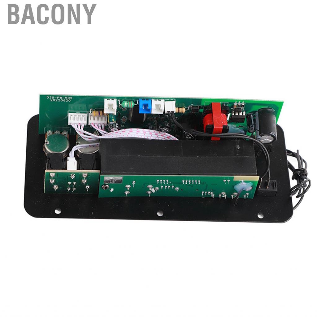 Bacony 10in  Stereo Subwoofer Amplifier Board Dual Microphone Input 220V for Home Theater DIY Speakers