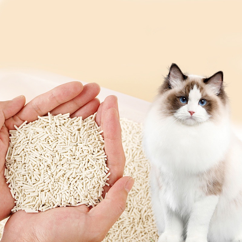 Cát Đậu Nành Cho Mèo Vón Chắc Khử Mùi Hôi TaoTaoPet PETPETCAT Tofu 6L An Toàn Giảm Bệnh Hô Hấp