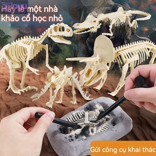 Đồ chơi Mô hình khai quật hóa thạch khủng long khảo cổ