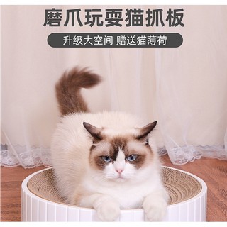 Tấm Bảng Cào Móng Bằng Giấy Hình Tròn Kích Thước Lớn Cho Mèo Cưng