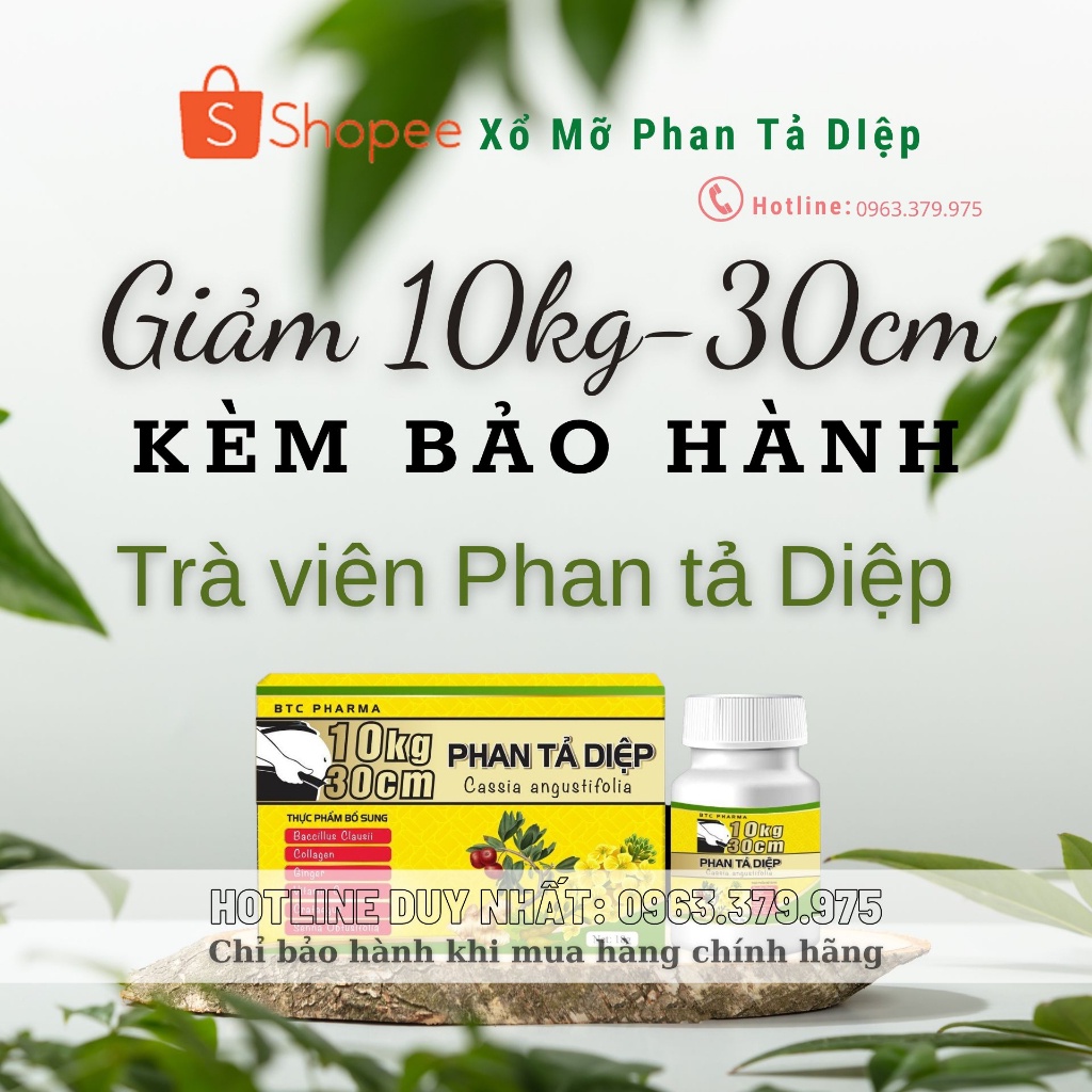 Xổ Mỡ Giảm Cân PHAN TẢ DIỆP - xổ mỡ vành ruột -Giảm 5-10kg dành cho cơ địa khó giảm