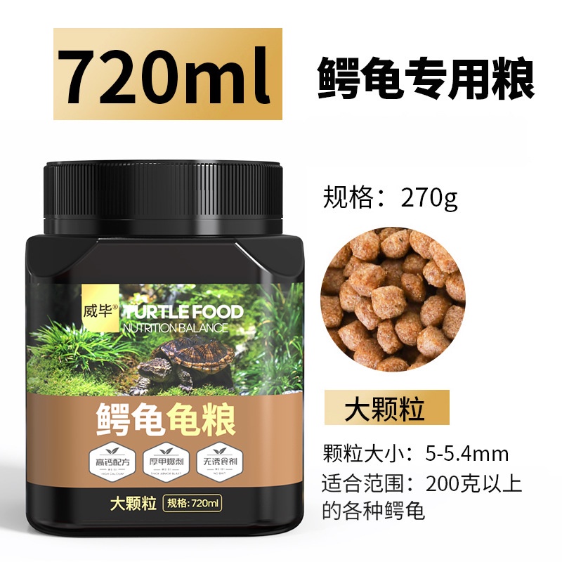 Thức Ăn Đặc Biệt Cho Rùa Cạn