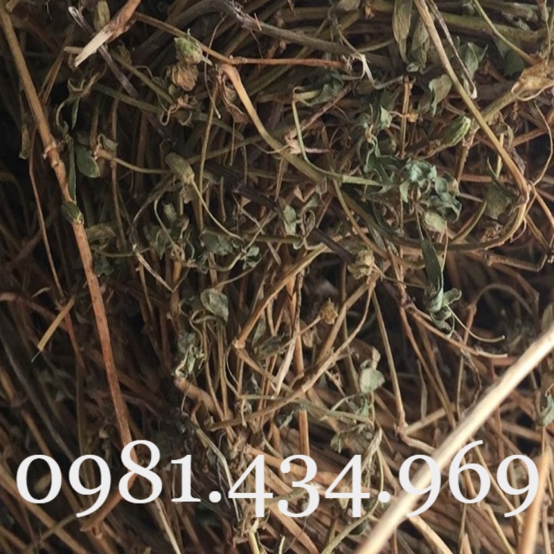 Rau Đắng Đất Khô 01KG Nguyên Chất Loại 01 Nhà Làm Tốt