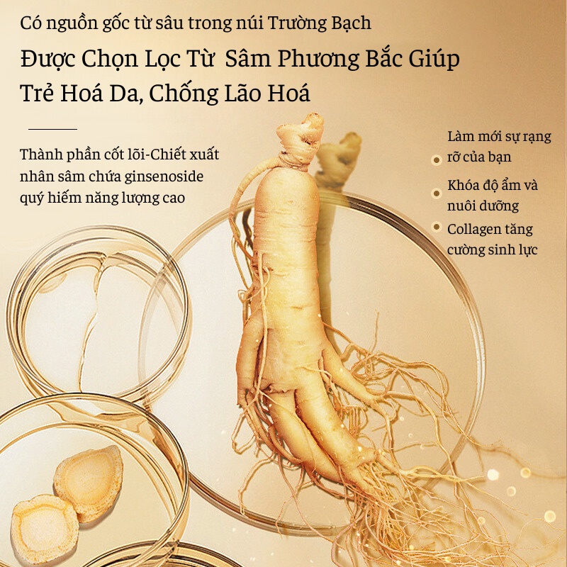 Kem Dưỡng Da Tinh Chất Nhân Sâm O'GULIA Dưỡng Ẩm, Làm Trắng Da, Mờ Nếp Nhăn, Nuôi Dưỡng Và Làm Đều Màu Da, Trẻ Hoá Da