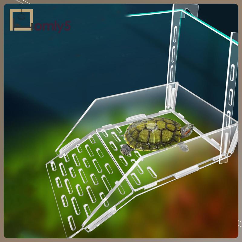 Bệ Đứng Thư Giãn Treo Bể Nuôi Rùa / Rùa / Ếch / Rùa